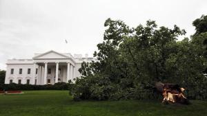 The White House Tree under Obama's Economy, Collapsing.